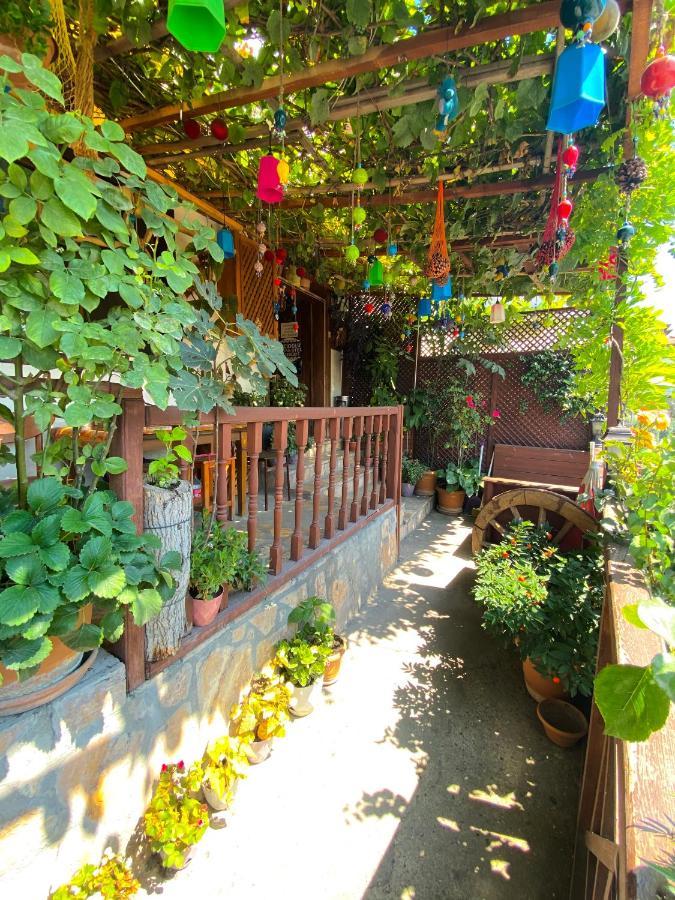Avcioglu Konak Otel Safranbolu Buitenkant foto